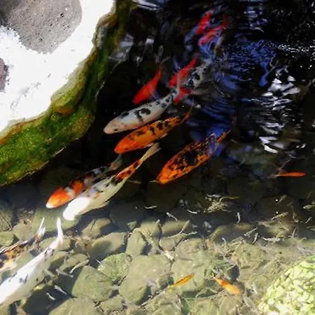 Parque Tropical Ξενοδοχείο 4*