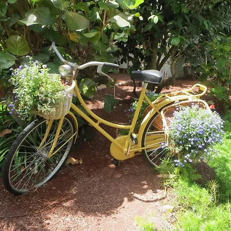 Parque Tropical Ξενοδοχείο