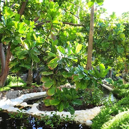 Parque Tropical 호텔 4*