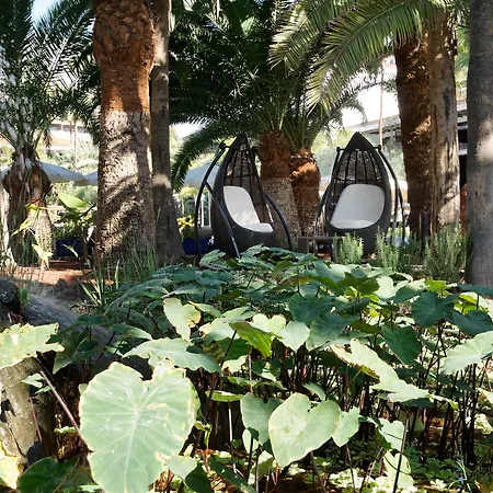 호텔 Parque Tropical 4*